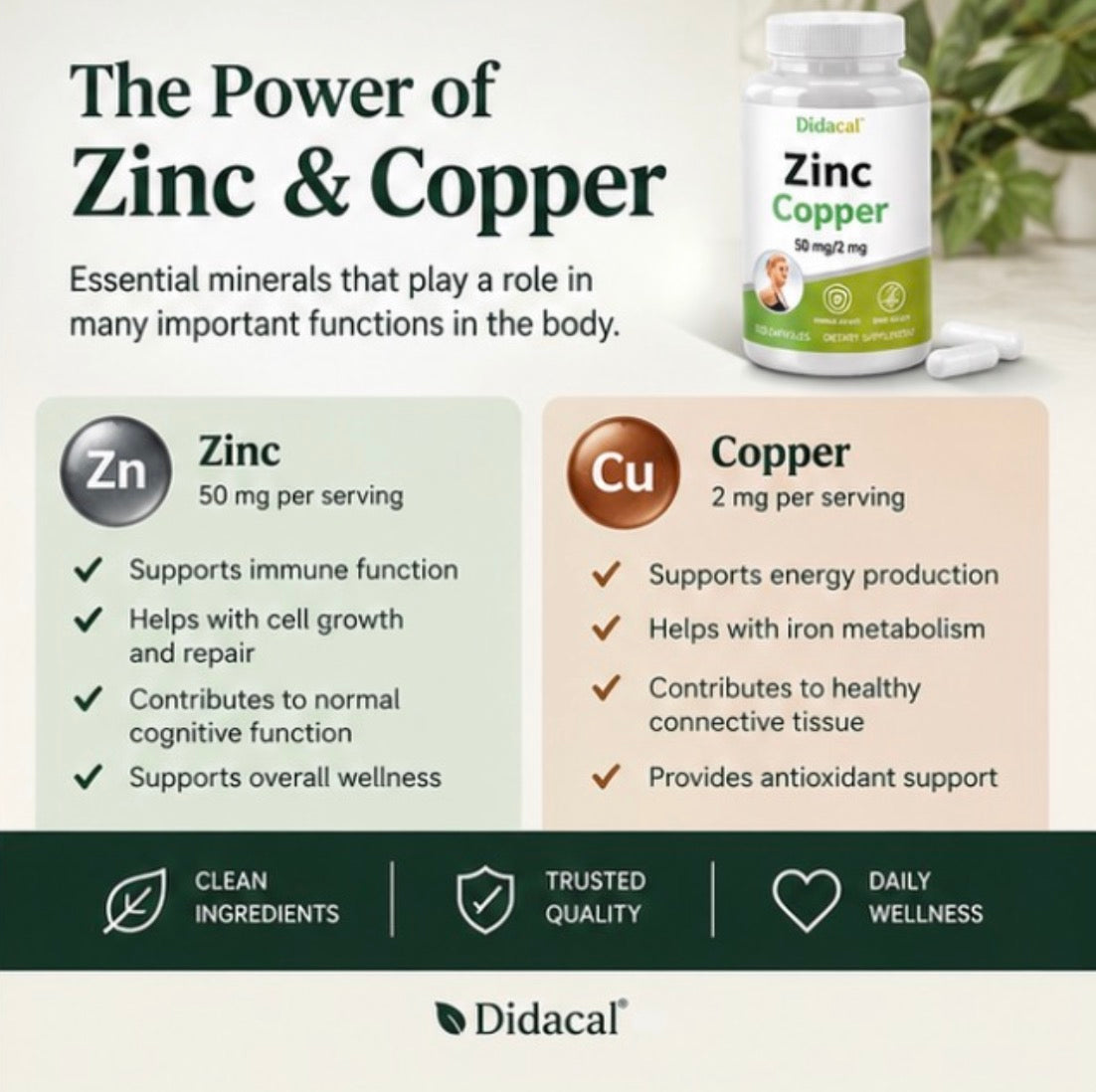 Clear Headed Zinc + Copper | 50 mg / 2 mg | 120 Capsules | No Caffeine